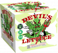 DEVIL'S LETTUCE