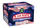 100 SHOT AMERICAN CELEBRATION
