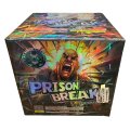 PRISON BREAK