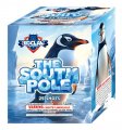 THE SOUTH POLE