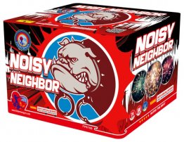 NOISY NEIGHBOR