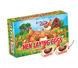 HEN LAYING EGGS