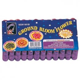 GROUND BLOOM FLOWERS - PACK OF 72