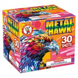 METAL HAWK