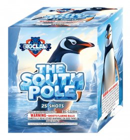 THE SOUTH POLE