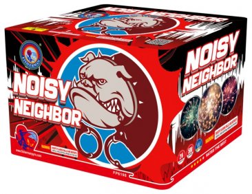 NOISY NEIGHBOR